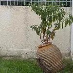 Located Melina 2 Escape Guest house Kalamata