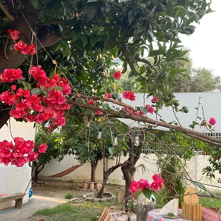 Located Melina 2 Escape Kalamata