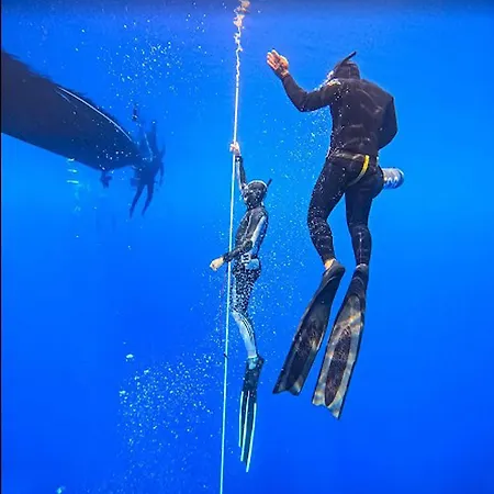 Guest house Located Melina 2 Escape 3*