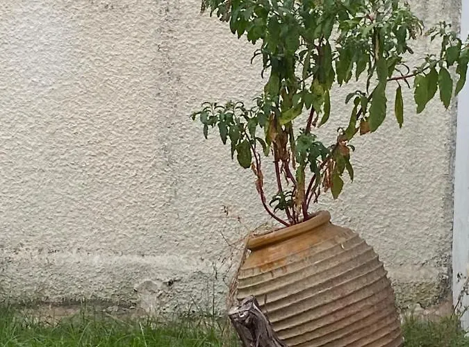 Located Melina 2 Escape Maison d'hôtes Kalamata