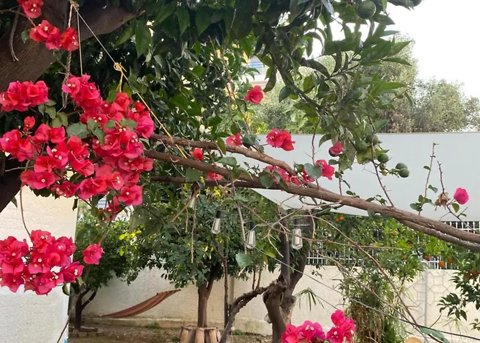 Located Melina 2 Escape Kalamáta