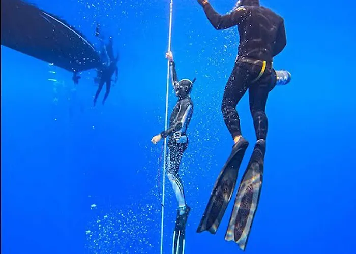 Maison d'hôtes Located Melina 2 Escape 3*